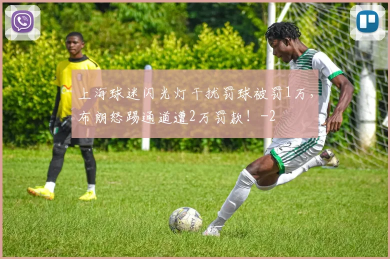 上海球迷闪光灯干扰罚球被罚1万，布朗怒踢通道遭2万罚款！