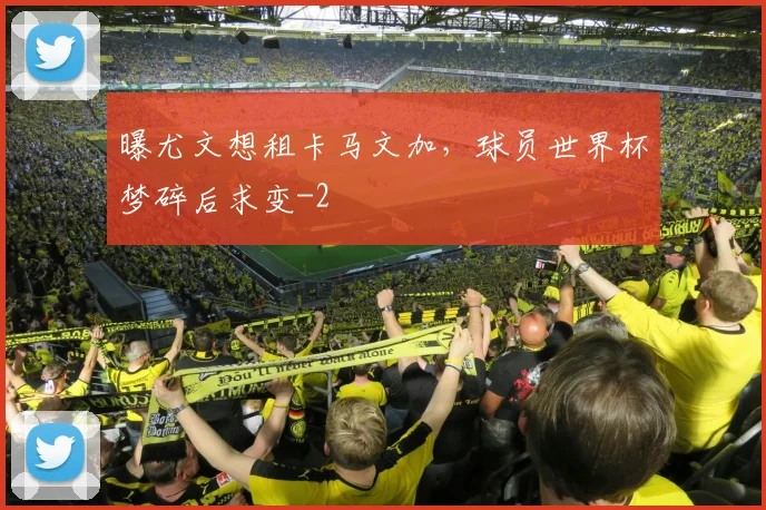 曝尤文想租卡马文加，球员世界杯梦碎后求变