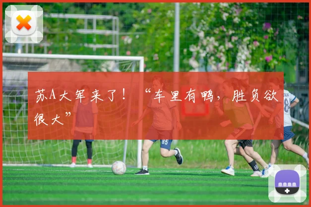 苏A大军来了！“车里有鸭，胜负欲很大”