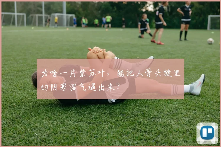 为啥一片紫苏叶，能把人骨头缝里的阴寒湿气逼出来？